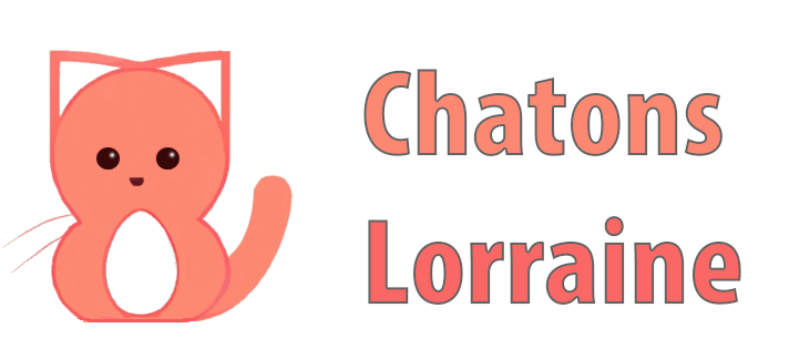 Chatons Lorraine